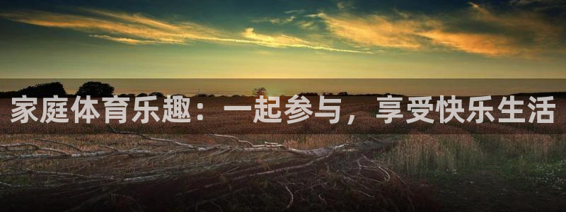 公海赌赌船官方正版app科技:家庭体育乐趣:一起参与,享受快