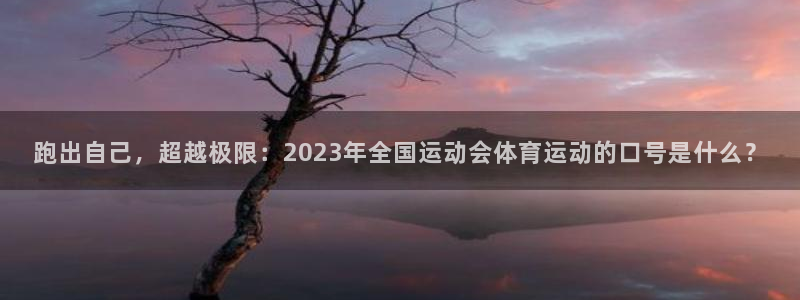 公海赌赌船官网下载招商电话地址:跑出自己,超越极限:2023